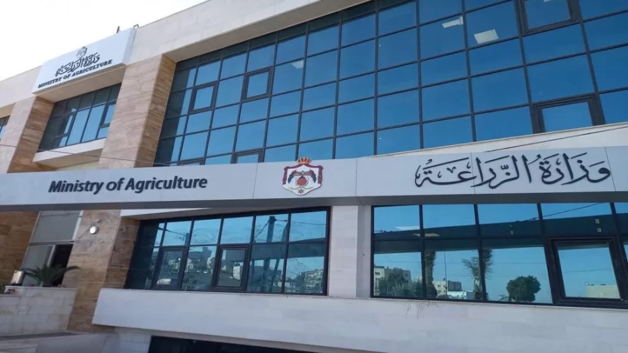 الأردن يرفع القيود عن استيراد الدواجن من البرازيل