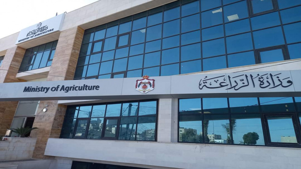 اجتماع اللجنة التوجيهية العليا لمبادرة زراعة 10 ملايين شجرة في وزارة الزراعة